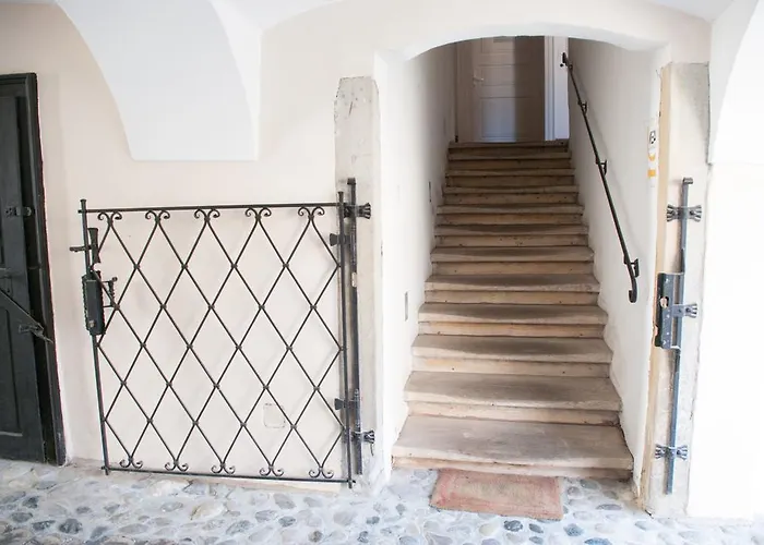 Bon Voyage מריבור